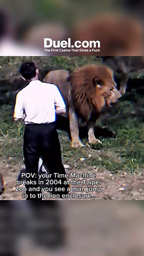 history on Instagram: "In November 2004, visitors at the Taipei Zoo witnessed a scene that quickly became one of the most infamous incidents in the zoo’s history. A 46-year-old man named Chen Chih-yuan climbed over the safety barrier of the African lion enclosure, carrying a Bible in his hand. Wearing a blue jacket and holding a bouquet of flowers, he approached the lions, reportedly shouting that “Jesus will save him.” What followed was captured on video by bystanders and broadcast across Taiwa