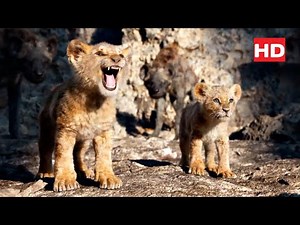 Simba and Nala run away from Hyenas ''The Lion King'' (2019) (1/6)