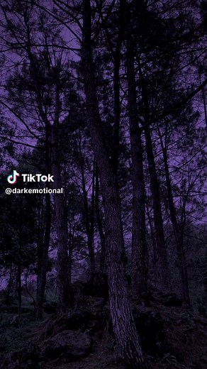 Can i look at you, like the first time we met?