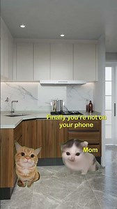 Random superpower 2 | 1$ for every step #catmeme #shorts