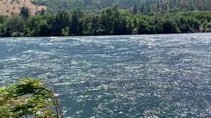 2.1K views · 89 reactions | Here’s a short video showing our new...