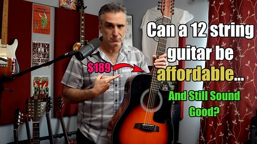 9.2K views · 202 reactions | Fesley 12 string guitar review. Fesley...