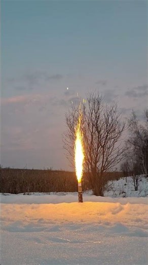 COBRA 100 🧨 #fireworks #pyro #pyrotechnica #shots #experiment #firecracker #poland #automobile