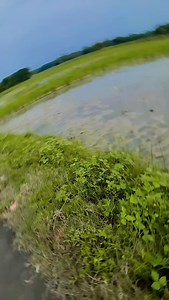 21K views · 10K reactions | #banichasmalagailedurbinjaisn❤️ #explorepage✨✨✨✨ #trending__❤️ #newpost #simplicity #sharing#smilechallange❤️ #chillvibesonly #dancelover # | Itz ẞìmì | Facebook