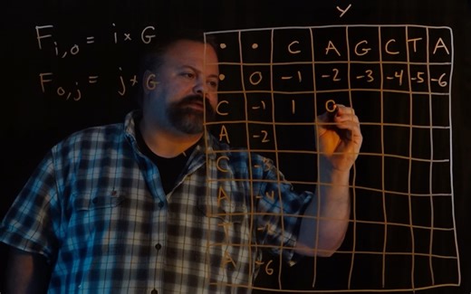 【油管搬运】Sequence Alignment: Dynamic Programming & Needleman-Wunsch