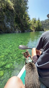 Noca Enjoys Nice Weather Paddleboarding in California