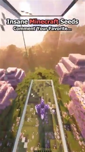 "INFINITE SEEDS From ONE DEEP HOLE - Minecraft Teleport Challenge!"