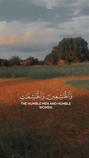 Quran recitation ❣️❤️🎧 #trustonallah |Mufasa plays