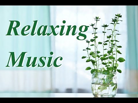 Beautiful Morning Guitar Cafe-style Music,For Breakfast,Coffee time,Relaxing,Calming,Refreshing.