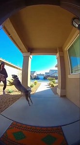 Caught Stealing the Bait Box! Funniest Porch Pirate Prank Ever