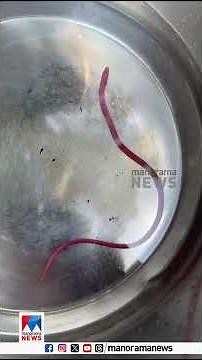 പാമ്പിന്‍ കുഞ്ഞല്ല, മീനാണ്; മോനോപെറ്റരസ് ഡിഗ്രസസ് ഇനത്തില്‍പ്പെട്ട മീന്‍