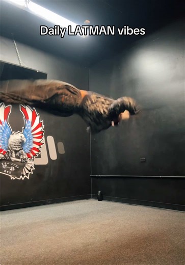 This song gets me groovin #fyp #latman #wings #vibes