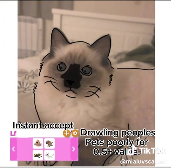 For fun 😓 This was rushed. #draw #pets #adoptme #irl #fyp | drawing