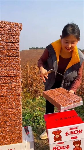 Amazing DIY Giant Pistachio Sculpture – Woman Builds Massive Nut Tower.