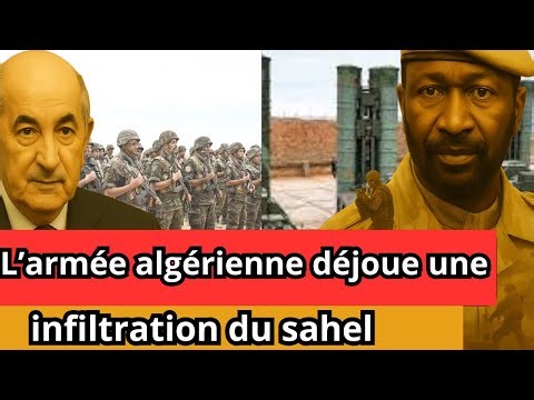 L’armée algérienne déjoue une infiltration du Niger