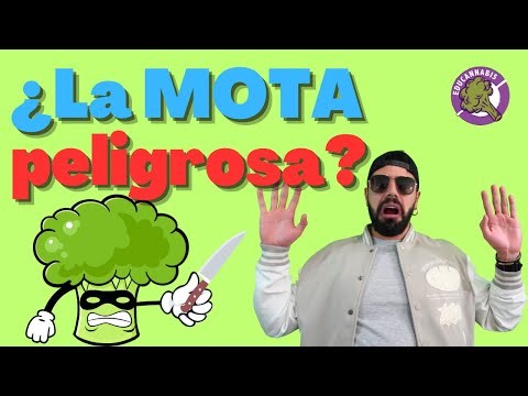 La Mota: Danger or Solution | Everything you need to know | Educannabis