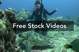 Girls+Watching+Ejaculation Videos, Download The BEST Free 4k Stock Video Footage & Girls+Watching+Ejaculation HD Video Clips