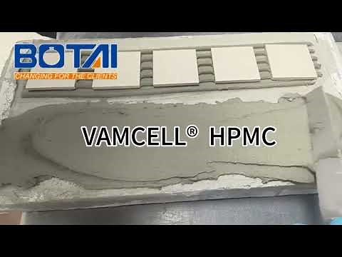 Hydroxypropyl Methylcellulose (HPMC)