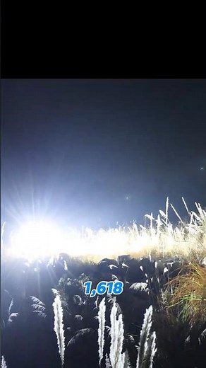 The World’s Strongest LED Flashlight