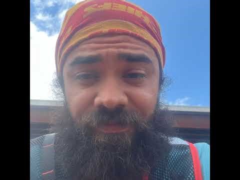 Pro activity Live Stream