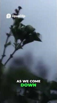 Storm Chasers Witness Ghostly Figure on Coastal Road #theparanormalscholar #hauntedstories #horror