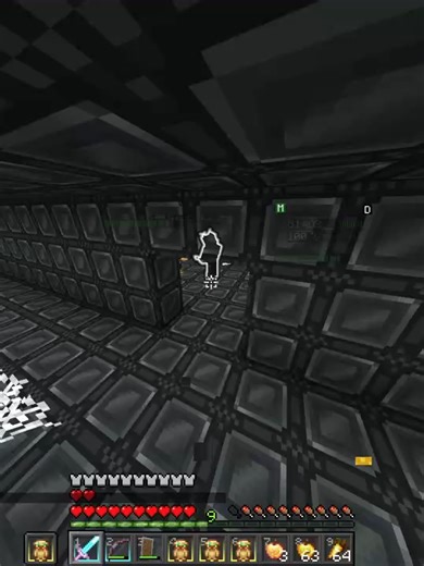 Por intentar ayudar casi muero | 8 totems use alm #parati #minecraft #mc #server #serverdeminecraft #aternosserver #totem #dedsafio #tryhard #fyp