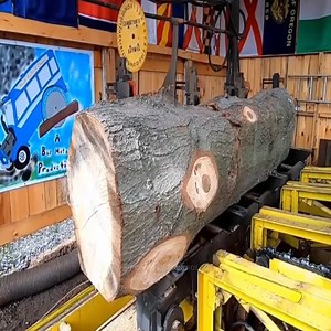 2.4M views · 13K reactions | Large Wood Cutting Machine In The Factory | Extreme Machines | Facebook