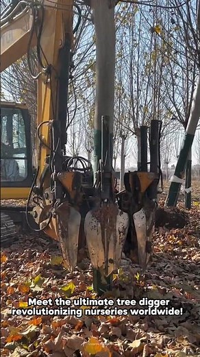Amazing Tree Digger Pro: Fastest & Cleanest Tree Balling Machine!✨