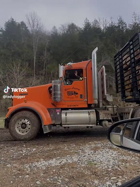 #loggers #loggertok #logging #bluecollarboys #bluecollarholler