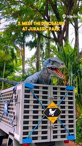 509 reactions · 3 comments | Explore the enchanting world of...