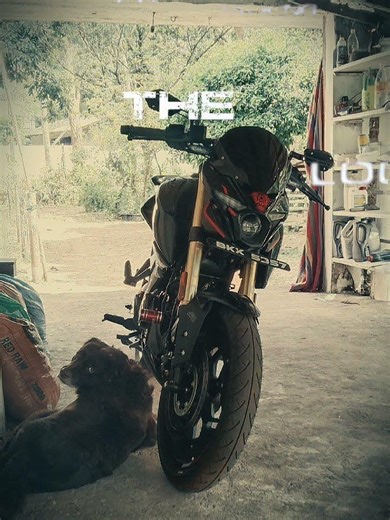 Two Hearts, One Ride | Bike pulsar n160 & My Dog #viralshorts