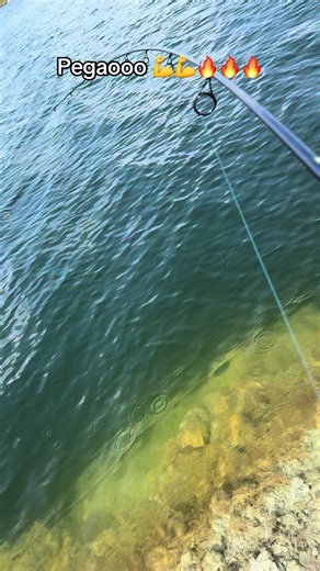 #fishing #bass #💪💪💪 #🔥🔥🔥