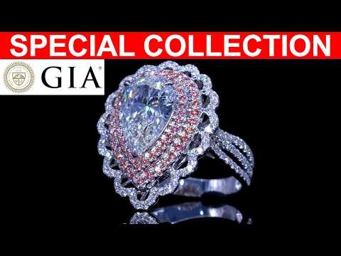 SPECIAL COLLECTION 04/17/2026