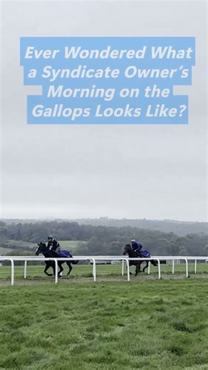 Ever Wondered What a Syndicate Owner’s Morning on the Gallops Looks Like?
