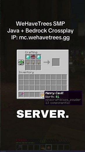 Why is it a different Y level #minecraft #coal #survival