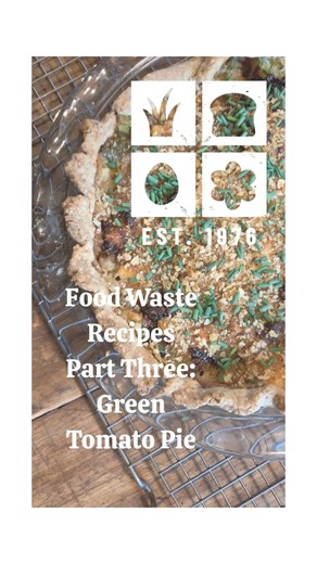 🥧 For Part Three of Food Waste Recipes we're making savory green tomato pie! This is a great way to use any extra green tomatoes you have as the nights get chillier and tomato plants start to slow down. 🍅 The recipe is very adaptable and can easily be made vegetarian. Slice and salt your tomatoes, cook them down with flavorful aromatics, and use an egg and a little bit of flour to bind it all together. Combine the mixture with any other fillings and flavors you like and put it all in a pie cru
