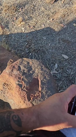 Maori Eating Toheroa Shellfish in the Desert