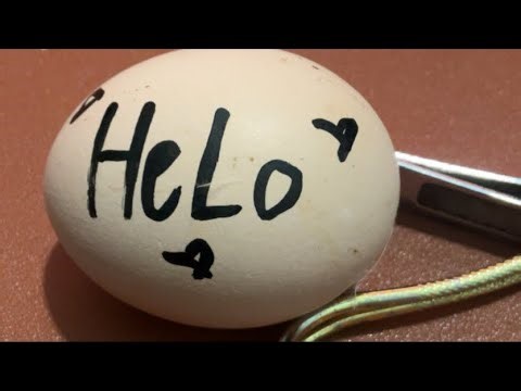 Raw Egg Peeling Challenge #165 #funnyvideo #satisfying #asmr