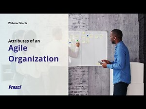 Attributes of an Agile Organization