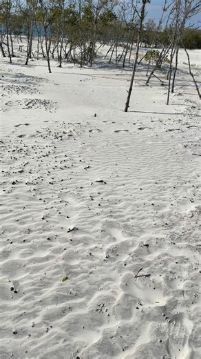 Valentine’s Day with my sweet boy at Ponce Inlet today! So gorgeous! 🤩🌴🌊♥️ #valentinesday #ponceinlet #florida #ocean #gorgeous | Levi Allen Caudill