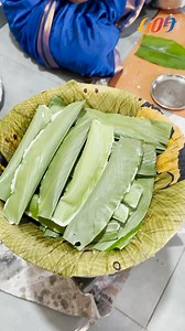 Patoleo, a cherished Goan delicacy, is a traditional sweet that embodies the essence of Goan culture and heritage. Ingredients: Fresh turmeric leaves, coconut (scraped), jaggery (chopped), green cardamom powder, nutmeg powder, rice flour, salt, Oil (for greasing), Ghee (to serve) Method: 1. Cook coconut and jaggery until melted, then add cardamom and nutmeg. Cook until thick. 2. Gradually add ¾ cup water to rice flour to make a thick batter. 3. Wipe turmeric leaves, grease, spread batter, add st
