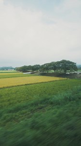 ✨Unlock Tochigi✨ “Nature & Hot Springs” Begin an unforgettable journey, where every step is a key leading deeper into nature’s embrace. From tranquil forest trails to rejuvenating hot springs ♨️, Tochigi unveils itself, welcoming you to unwind, explore, and ignite your sense of wonder. This is just the start. 🚶‍♀️🌄 | Welcome！Visit Tochigi,Japan