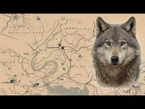 WHERE TO FIND WOLVES IN RED DEAD REDEMPTION 2 🟢