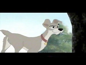 Lady And The Tramp II: Scamp's Adventure: Tramp (2001) (3)