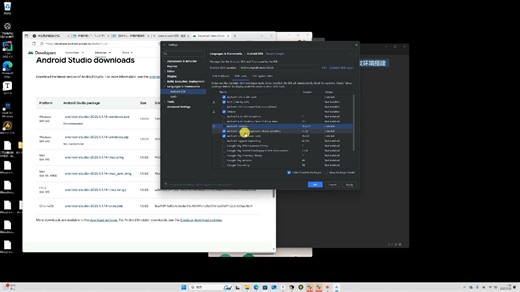 2025 Android Studio的安装 ndk 开发环境搭建