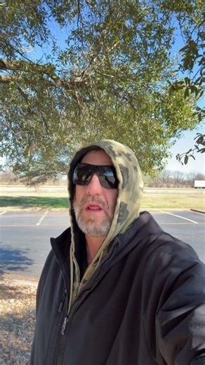 On this day in 2001, Wikipedia launched as a free, community-edited encyclopedia.