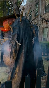 Panoramic view of the Coven - - #Halloween #Evilseedcreations #Halloweendecor #Pumpkin #JackoLantern #Evilpumpkin #Pumpkinking #Pumpkinhead #Scarecrow #Monster #Scary #Creepy #Spooky #Horror #Handmade #Darkartist #Sculpture #Oneofakind #Unique #details #Reeloftheday #instagood | Evil Seed Creations