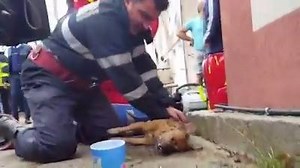 4.2K views · 304 reactions | Hero firefighter gave CPR or...