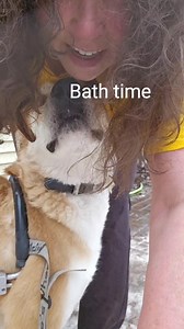 8.8K views · 479 reactions | This is how the paralyzed dogs get a bath. #emotionalrescuedogs #petlovers #dogs | Emotional Rescue LLC | Facebook