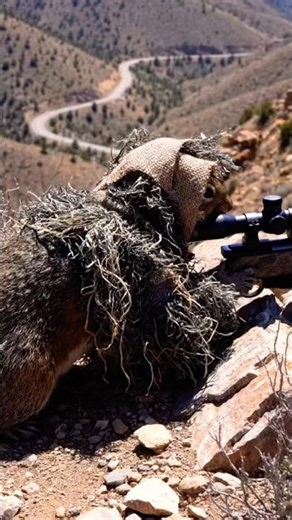 Sniper🎯Squirell☠️ 🐿️✨Gator🐊TTailAllain #8541#usmc#fafo